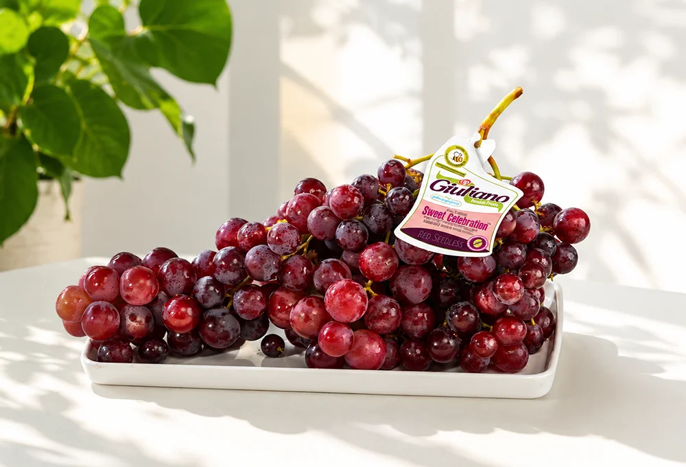 Sweet Celebration Red Seedless Grapes Giuliano | Premium Grapes | ProFruits