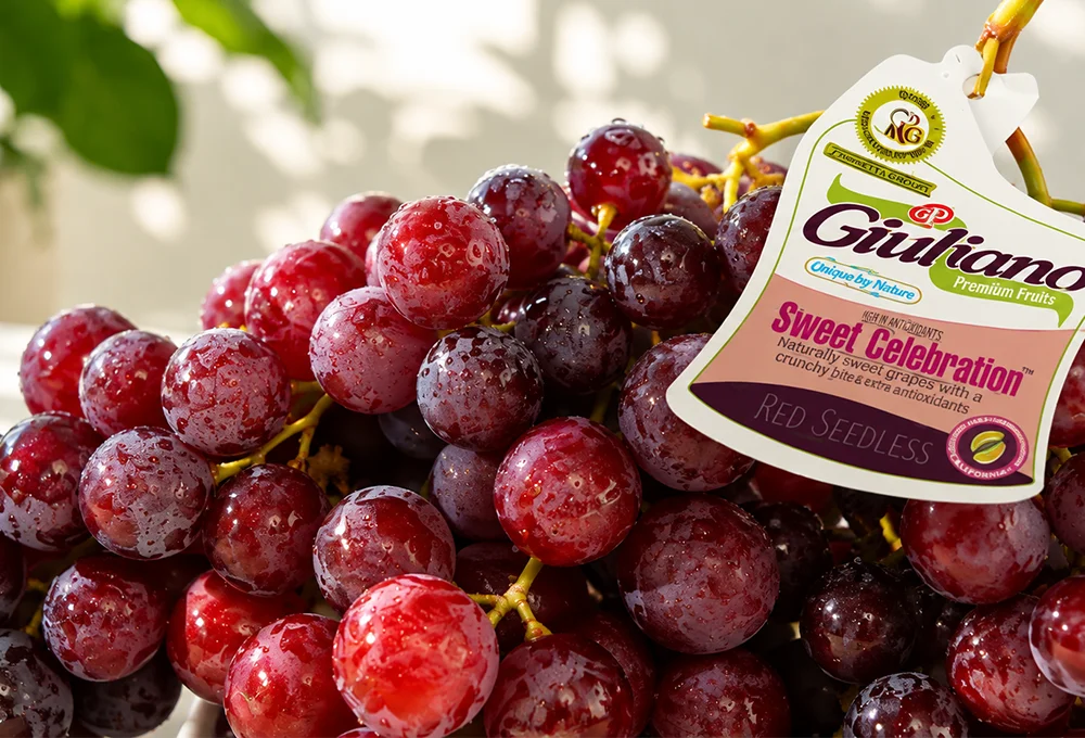 Sweet Celebration Red Seedless Grapes Giuliano | Premium Grapes | ProFruits