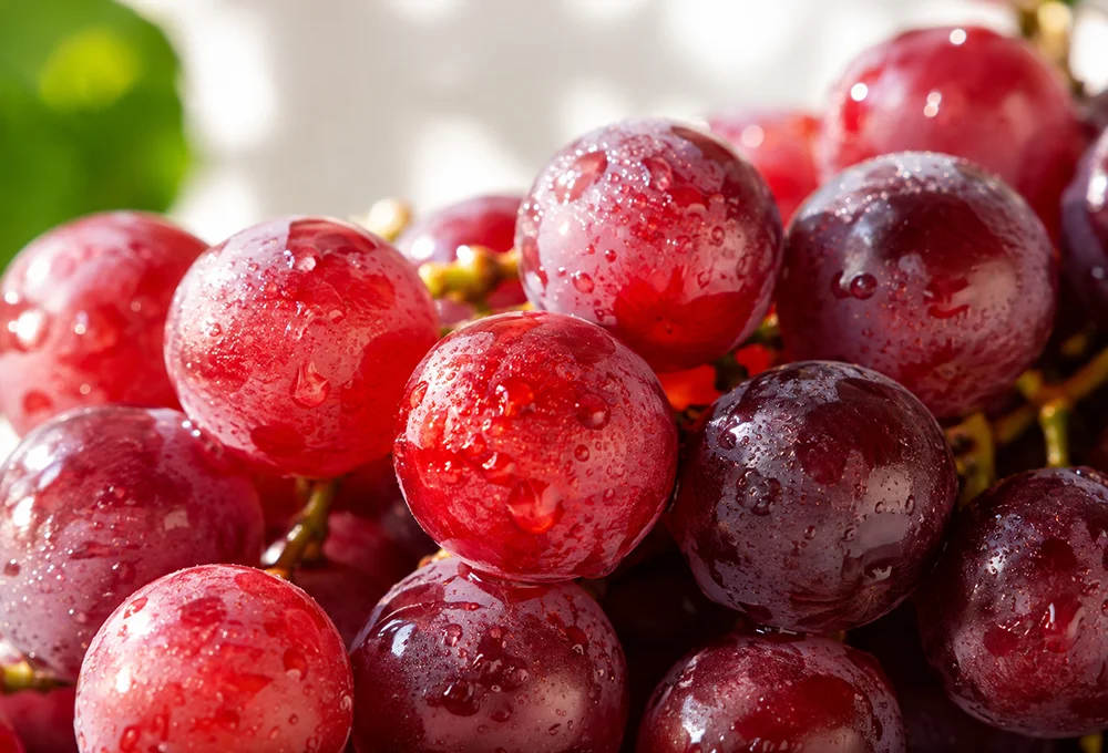 Sweet Celebration Red Seedless Grapes Giuliano | Premium Grapes | ProFruits