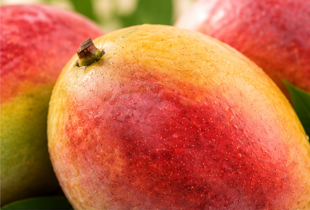 Premium Spanish Mangoes
