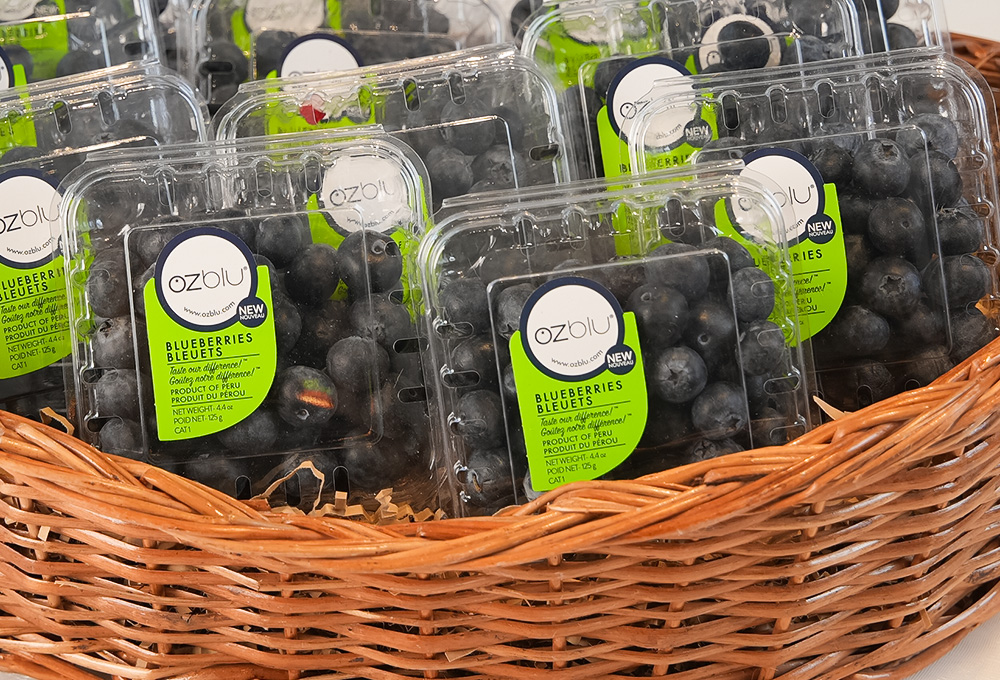 Blueberry Delight Gift Basket