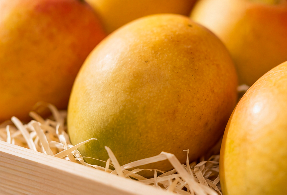 TheMaharajaAlphonsoMangoExperience