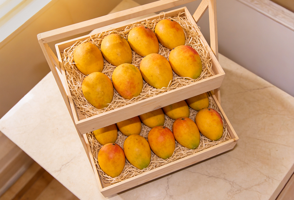 TheMaharajaAlphonsoMangoExperience