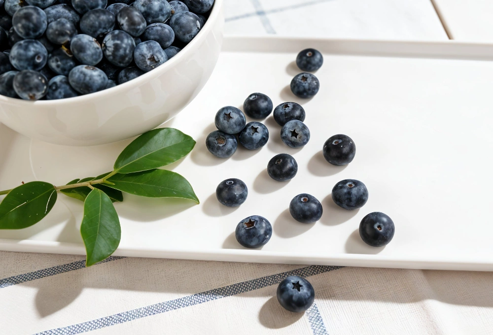 Fresh OZblu blueberry pack in Mumbai – premium imported berries
