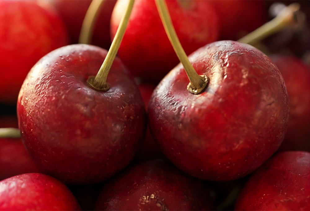 Indian Cherry