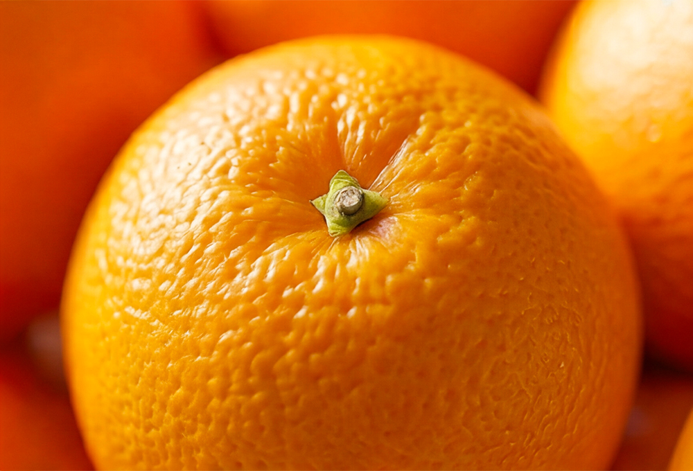 Valencia Orange