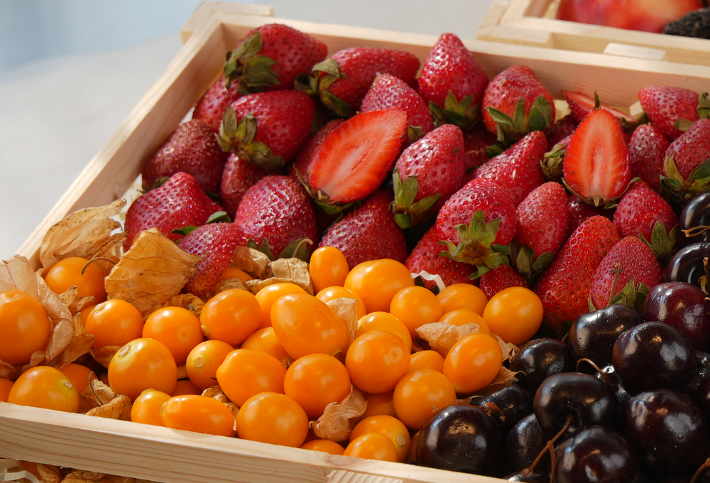 Gift Set of 2 - Exotic Fruit Trays V4