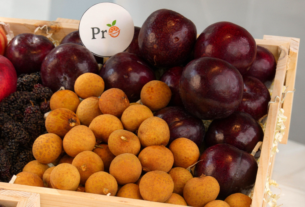 Gift Set of 2 - Exotic Fruit Trays V4