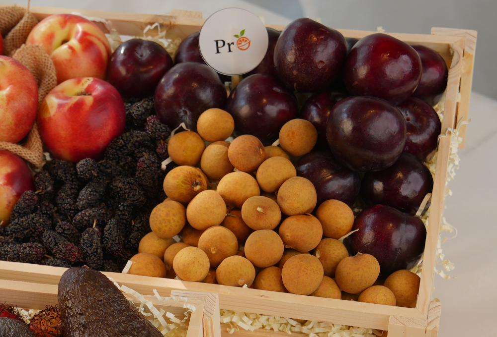 Gift Set of 2 - Exotic Fruit Trays V5