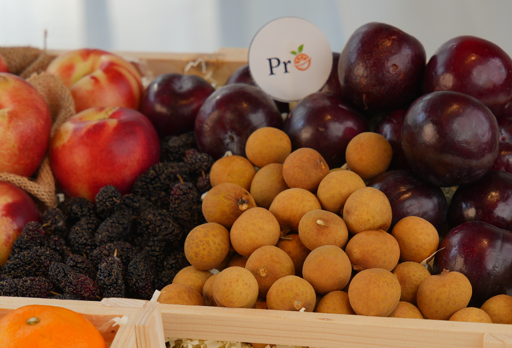 Gift Set of 2 - Exotic Fruit Trays V6