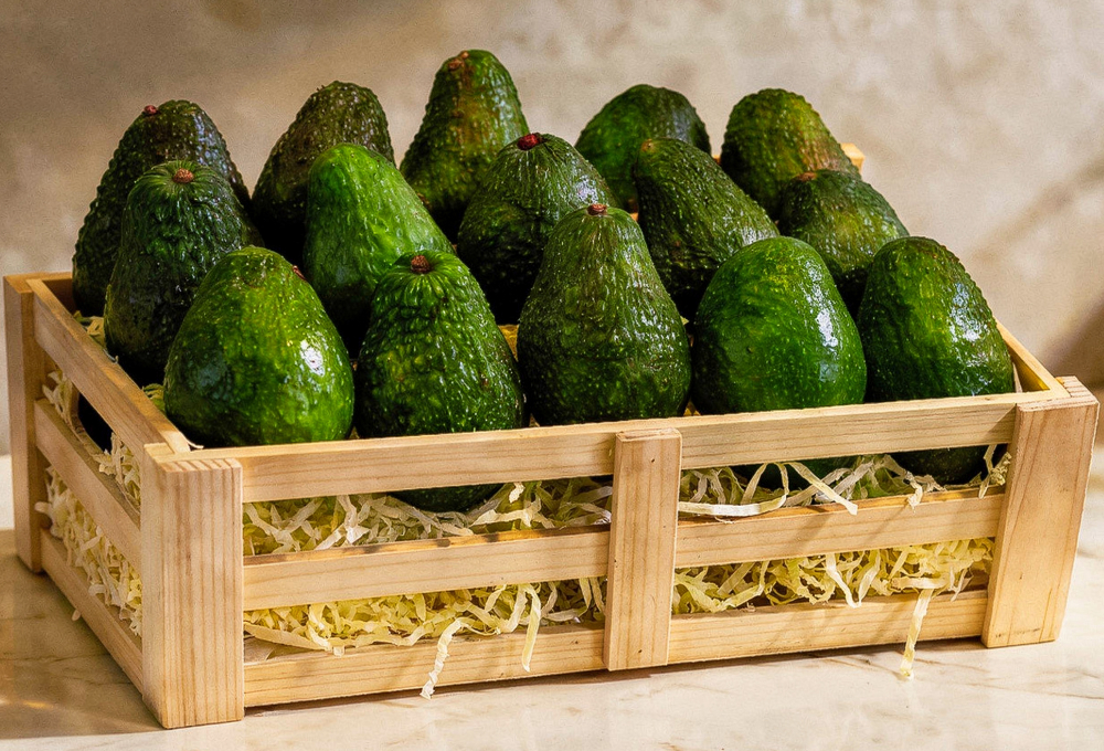 hass-avocado-tray-1