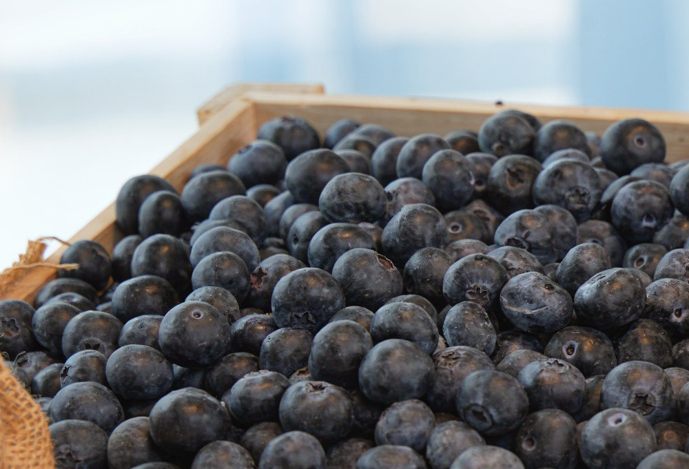 Blueberry & Golden Kiwi Premium Fruit Tray