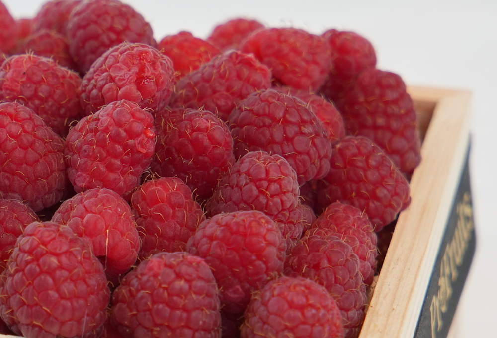 Blueberry & Golden Kiwi Premium Fruit Tray