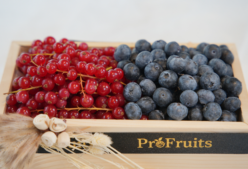 Premium Duo Berry Tray – Red Currants & Blueberries