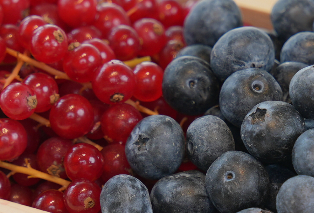 Premium Duo Berry Tray – Red Currants & Blueberries