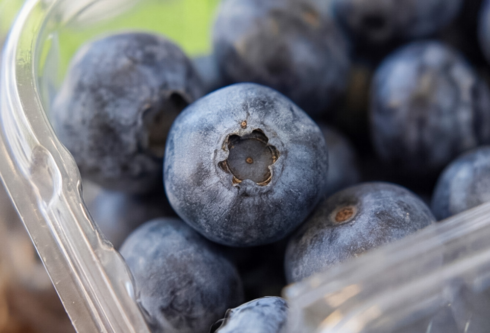 Blueberry Delight Gift Basket