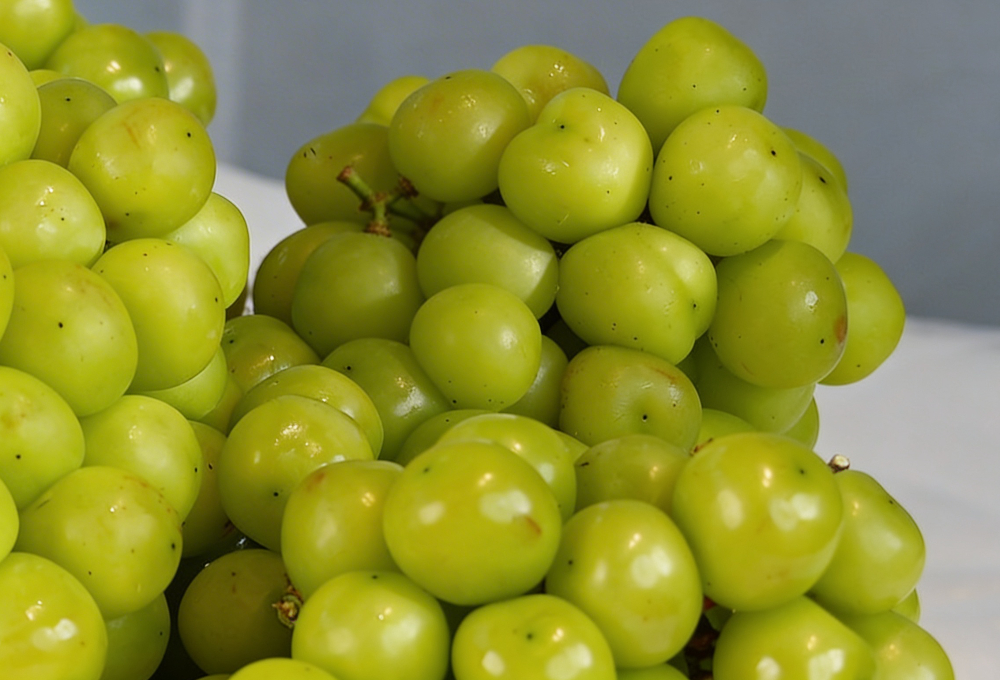 The Signature Grape Tray