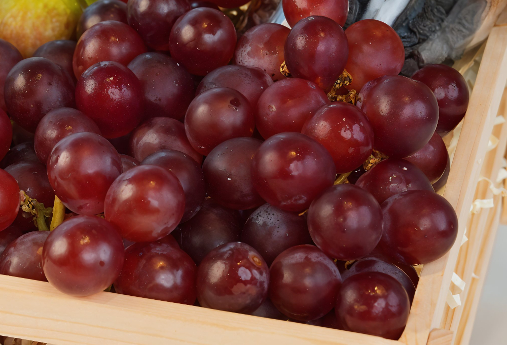 The Fresh & Dried Signature Tray