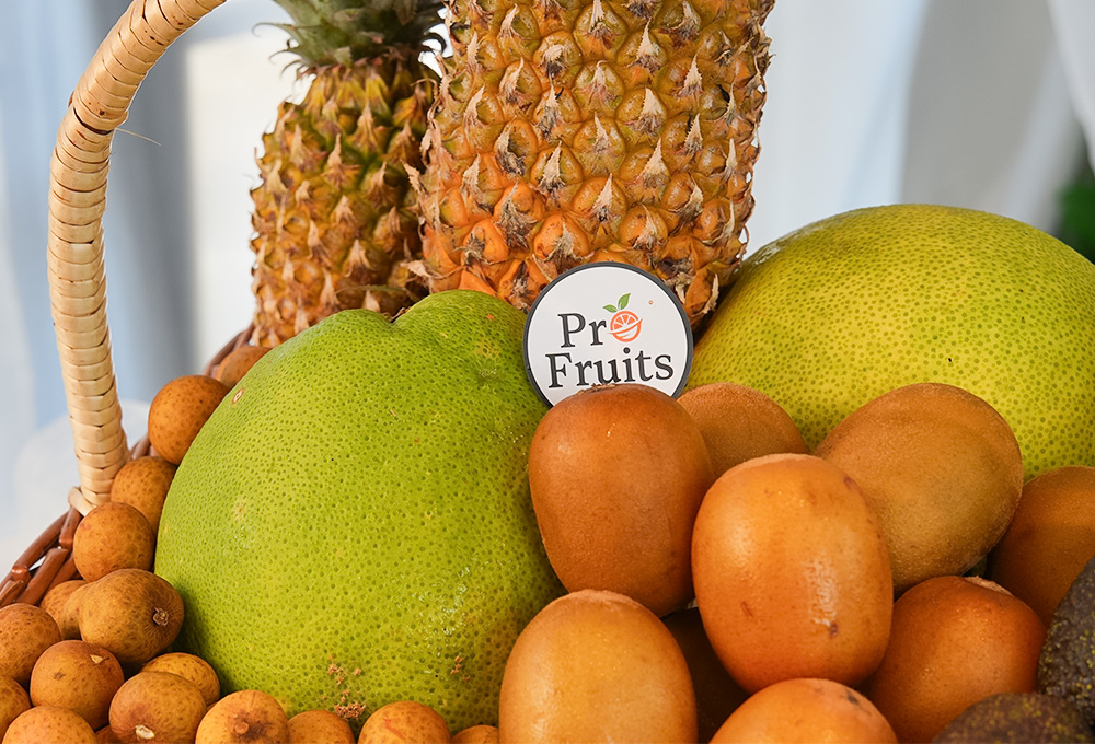 Premium Exotic Green Basket