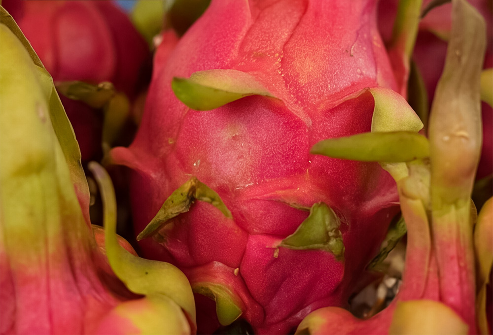 Red & White Dragonfruit Gift Basket