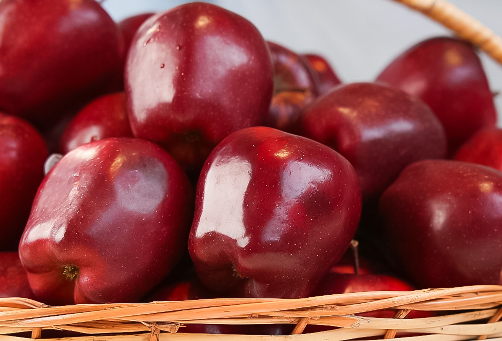 Washington Apple Classic Basket