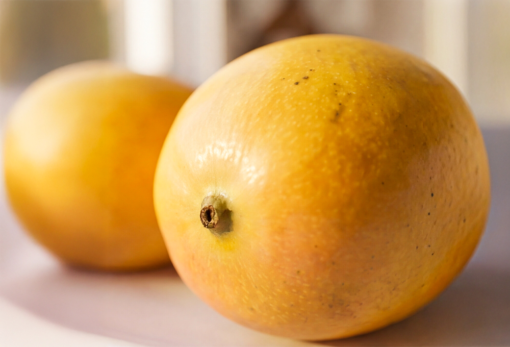 AA+ Alphonso Mango