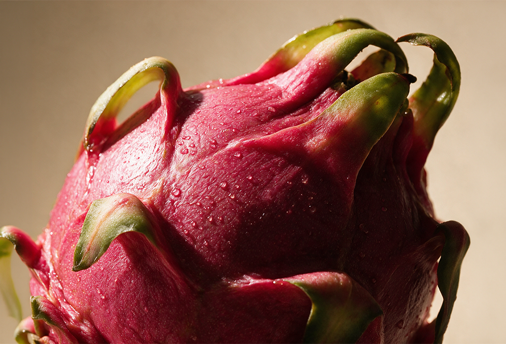 2 Pcs Kutch Red Dragon Fruit