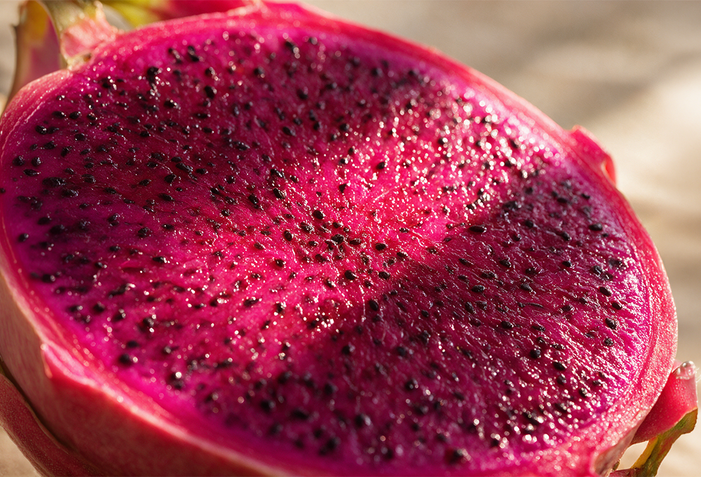 2 Pcs Kutch Red Dragon Fruit